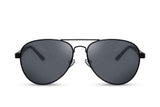 Pilot Sunglasses Black/Smoke lenses